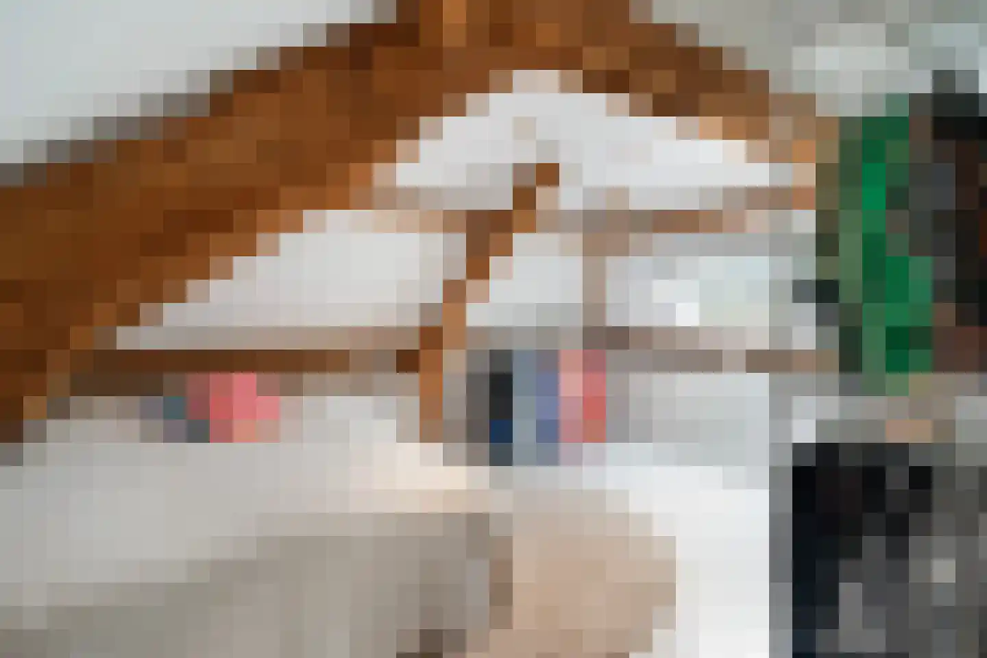 Wouwerlaan 3 Rotterdam thumbnail 6