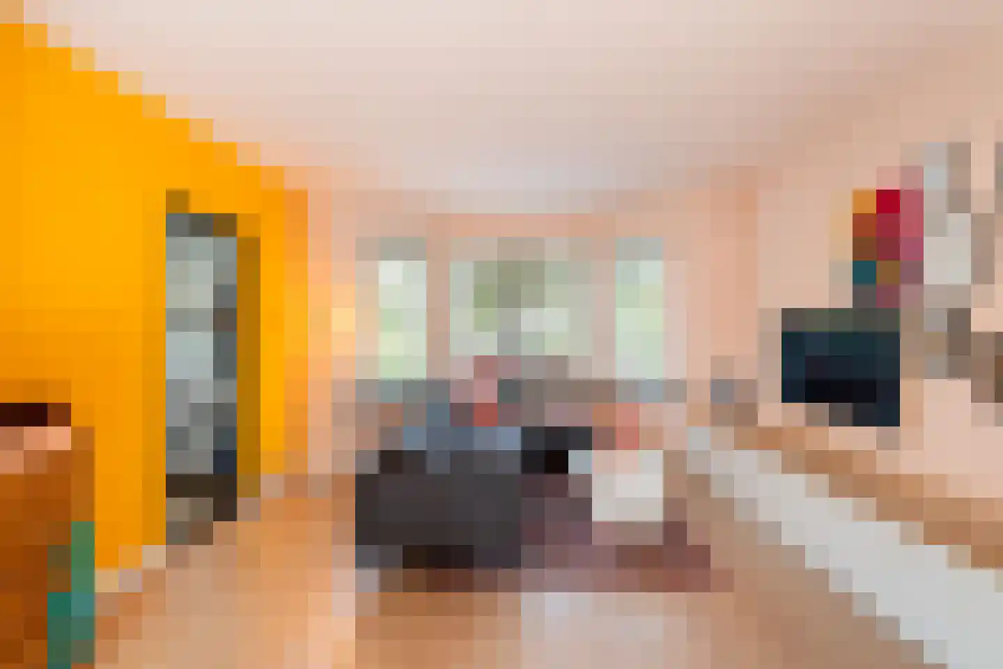 Wouwerlaan 3 Rotterdam thumbnail 7