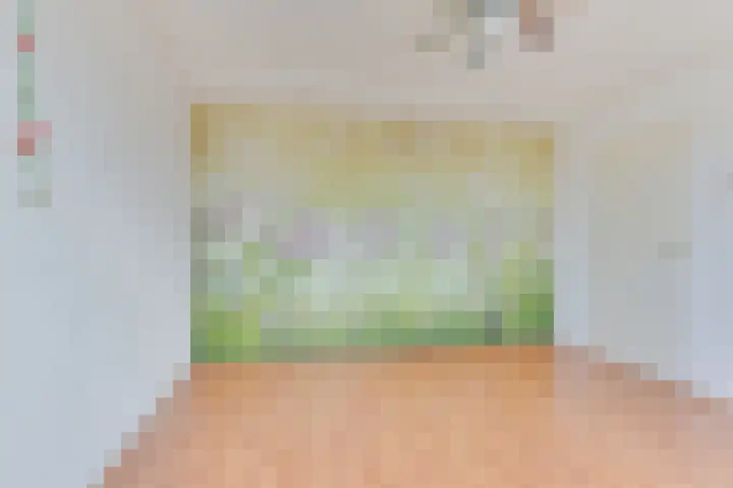 Wouwermanslaan 4 Heerhugowaard thumbnail 21