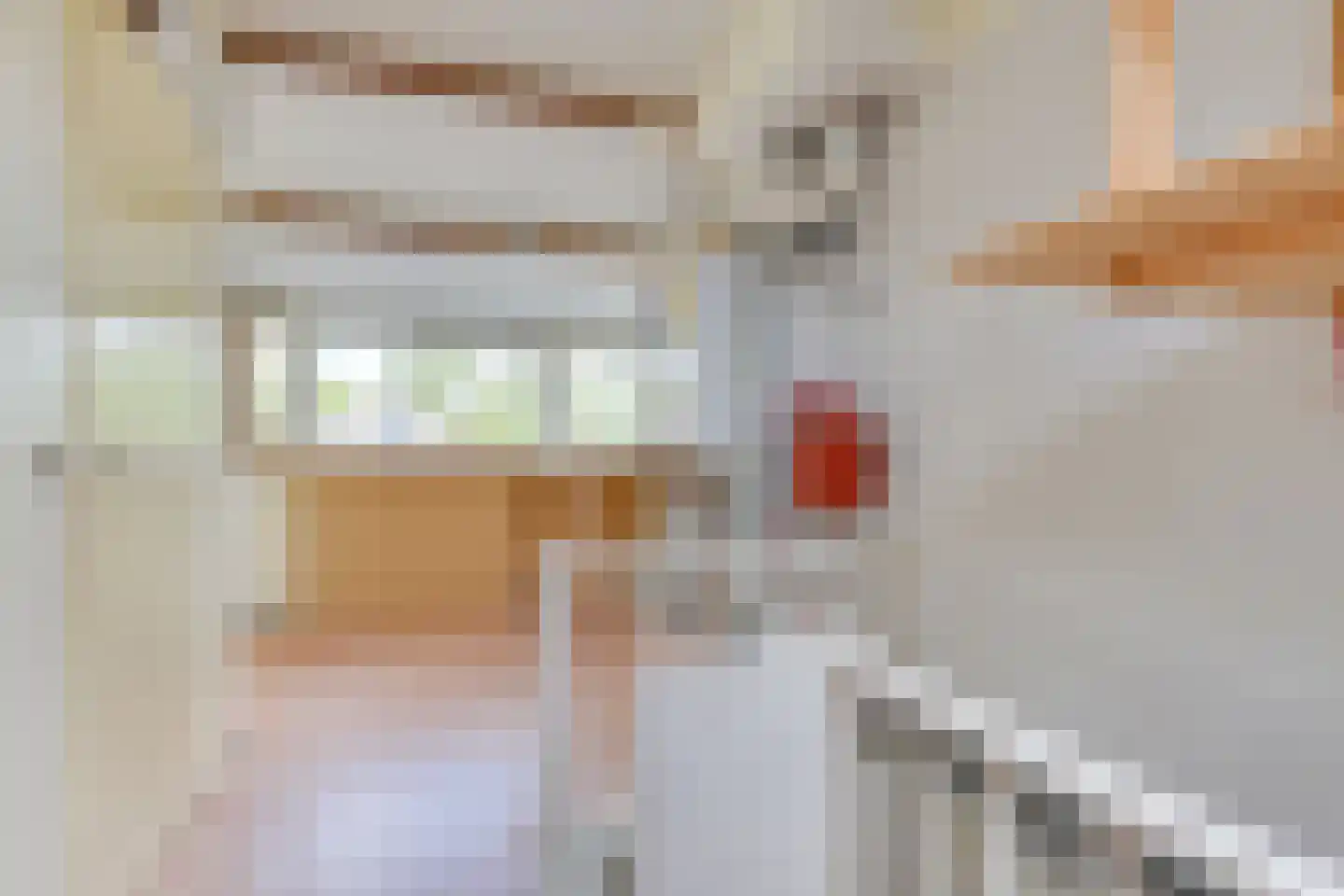 Wouwermanslaan 4 Heerhugowaard thumbnail 33