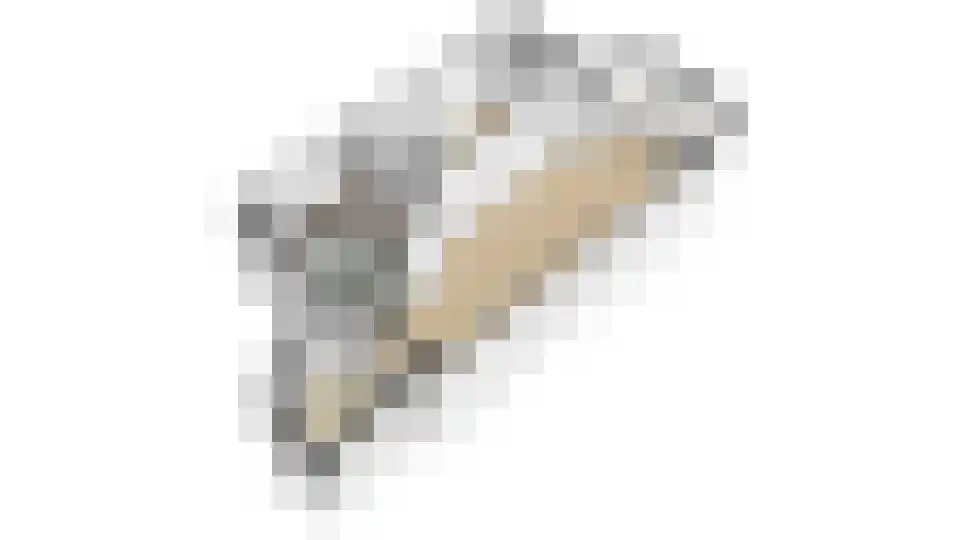 Wouwermanslaan 4 Heerhugowaard thumbnail 53