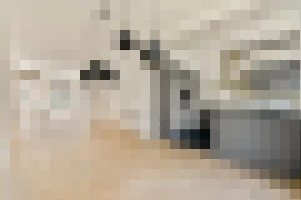 Wouwermanstraat 12 Amsterdam thumbnail 4