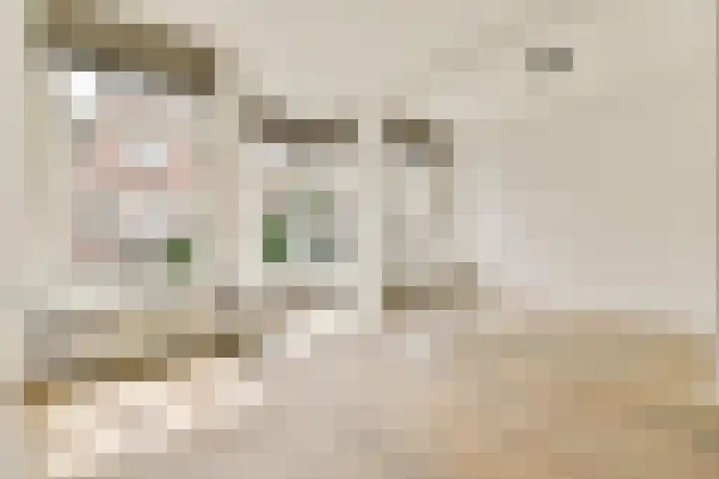 Wouwermanstraat 12 Amsterdam thumbnail 5