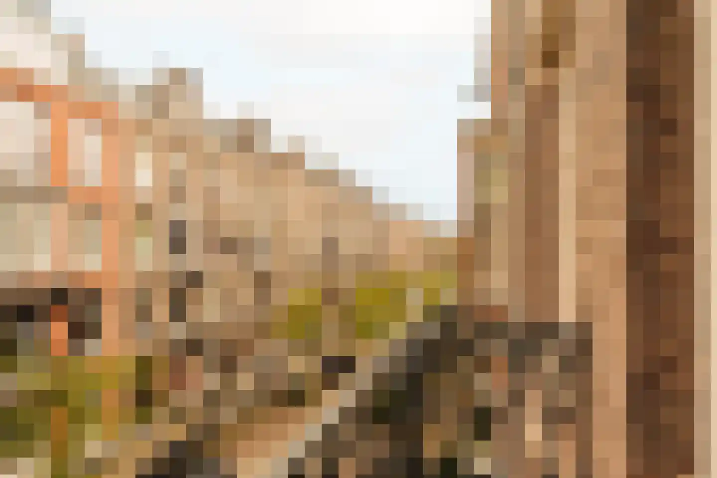 Wouwermanstraat 19 H Amsterdam thumbnail 14