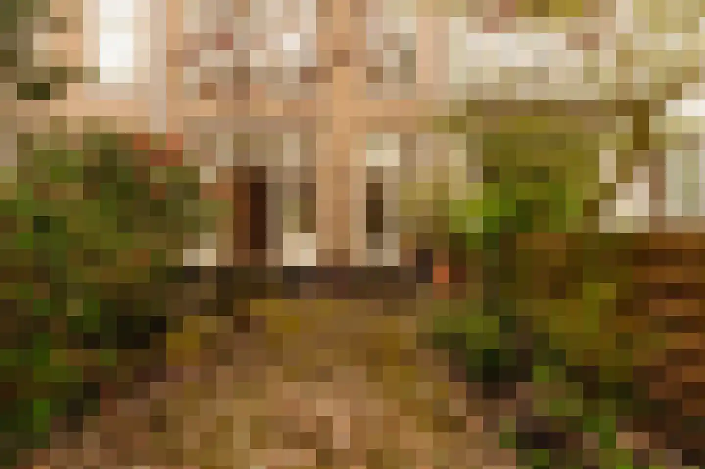 Wouwermanstraat 19 H Amsterdam thumbnail 43