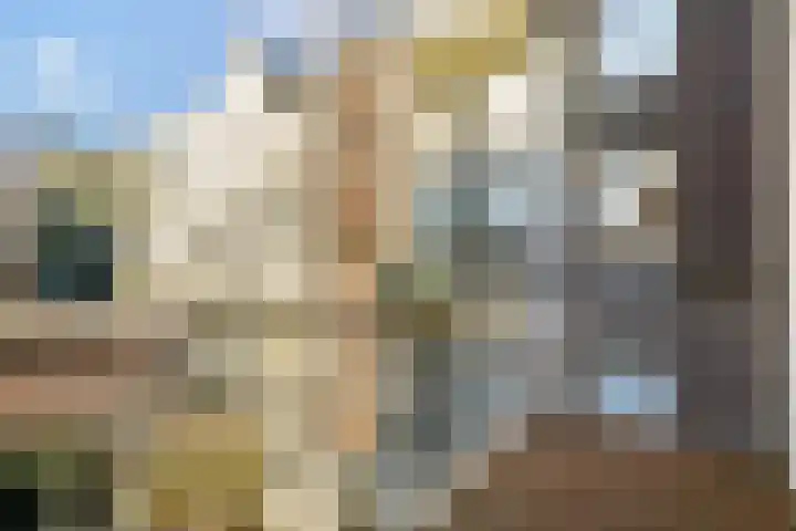 Wouwermanstraat 2 2 Amsterdam thumbnail 17