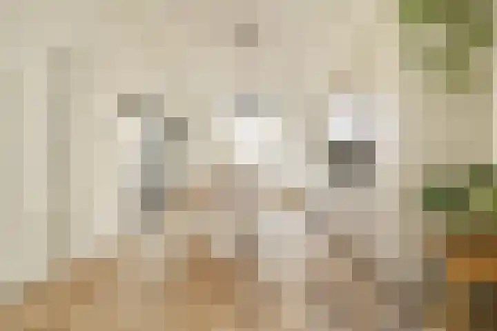 Wouwermanstraat 2 2 Amsterdam thumbnail 5