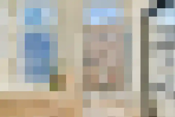 Wouwermanstraat 2 2 Amsterdam thumbnail 8