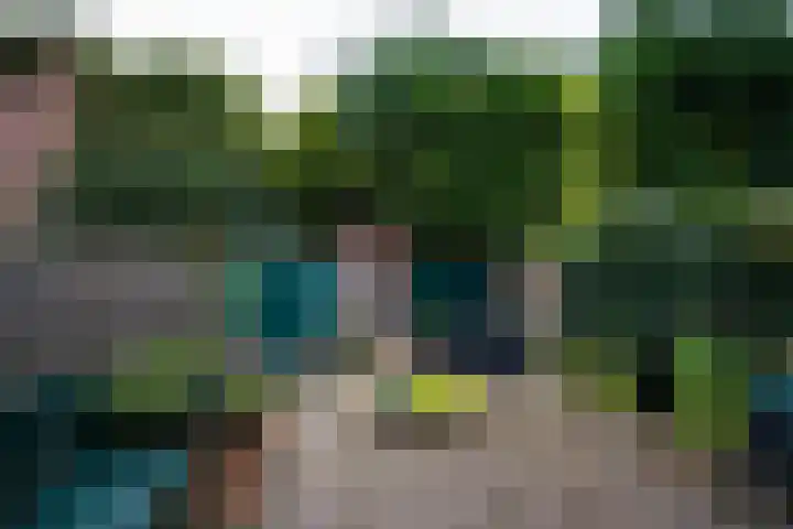 Wouwermanstraat 21 ZW Haarlem thumbnail 11