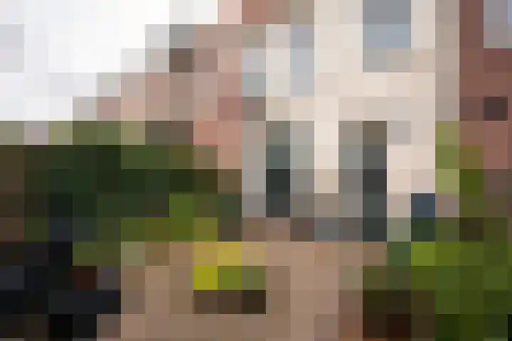 Wouwermanstraat 21 ZW Haarlem thumbnail 12