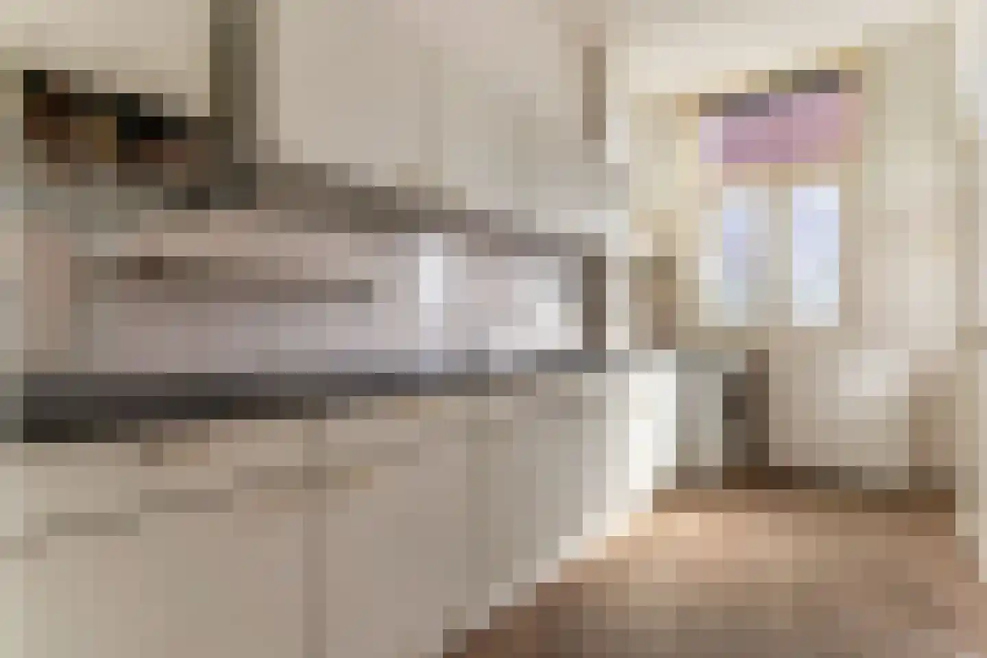 Wouwermanstraat 22 Den Haag thumbnail 15