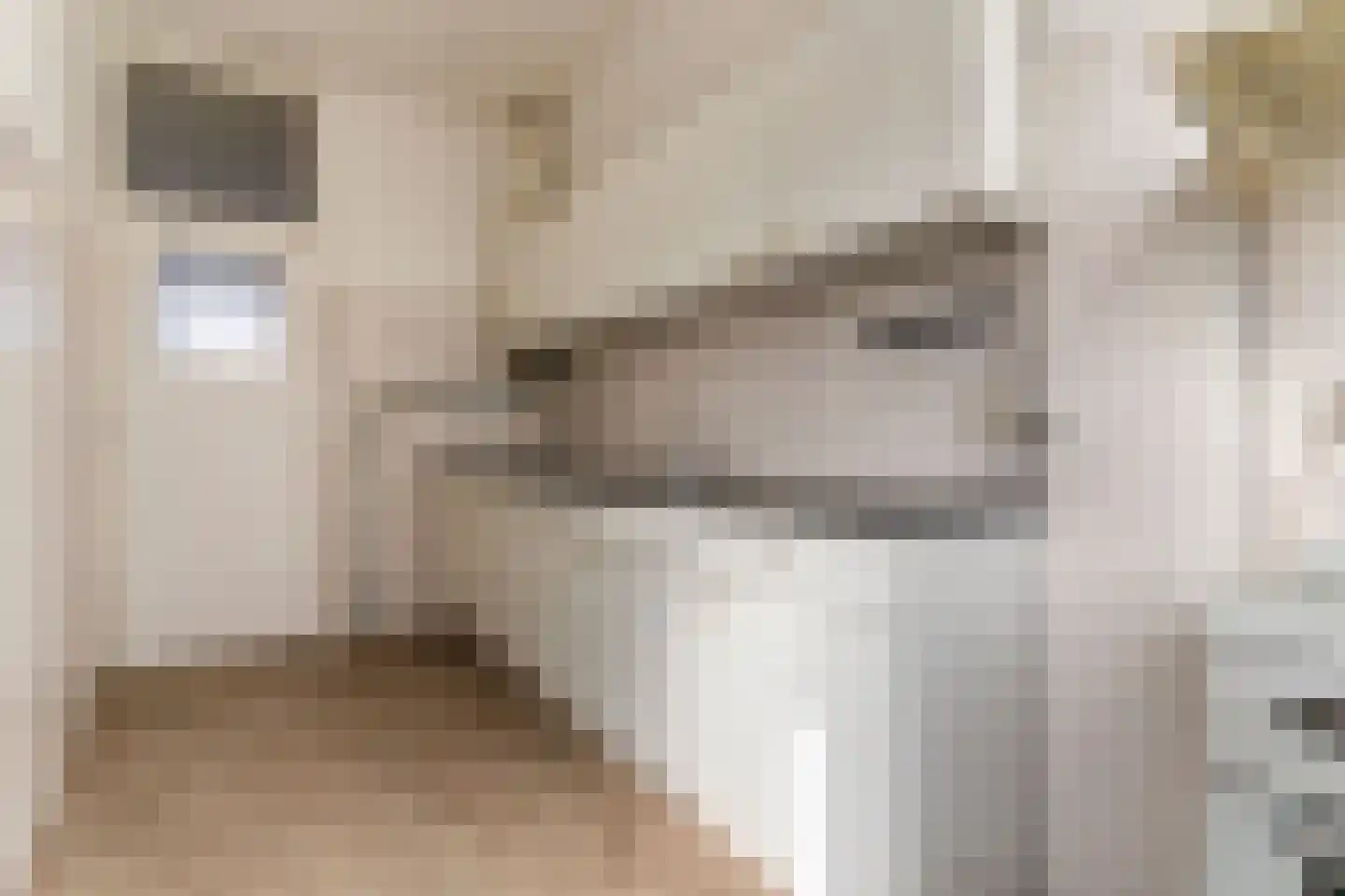 Wouwermanstraat 22 Den Haag thumbnail 16