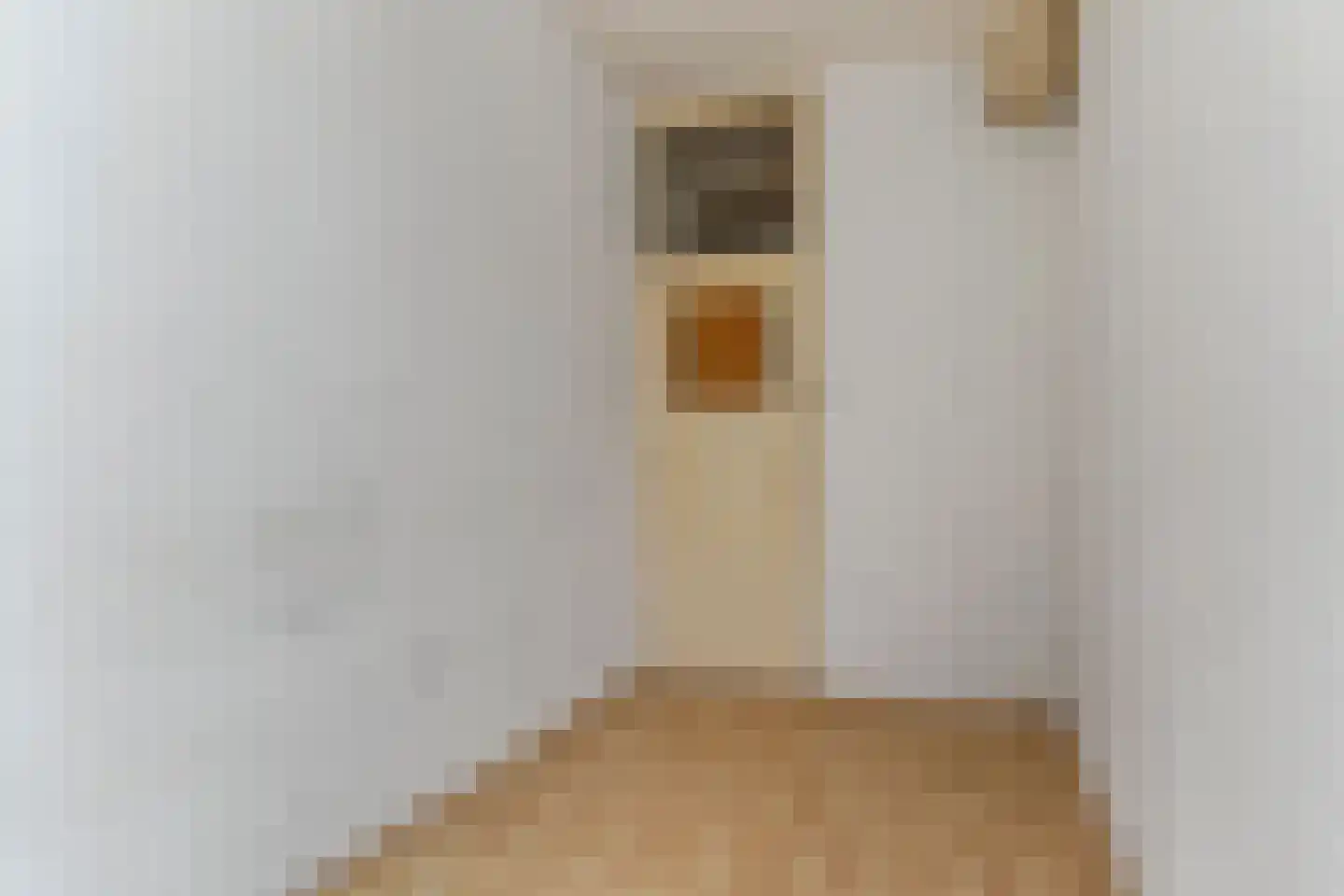 Wouwermanstraat 22 Den Haag thumbnail 19