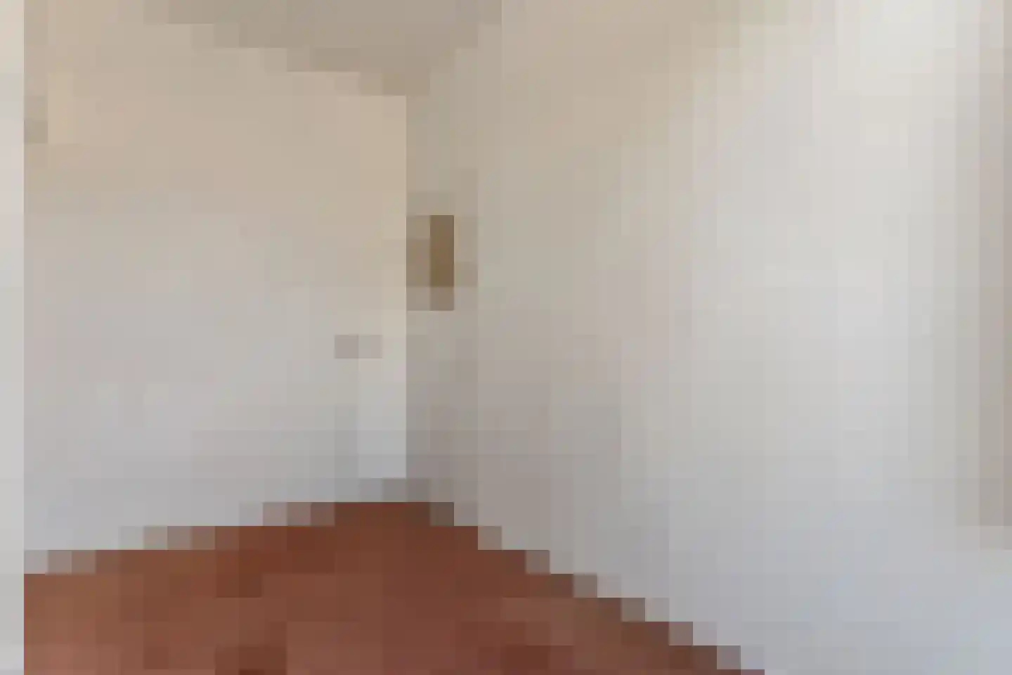 Wouwermanstraat 22 Den Haag thumbnail 21