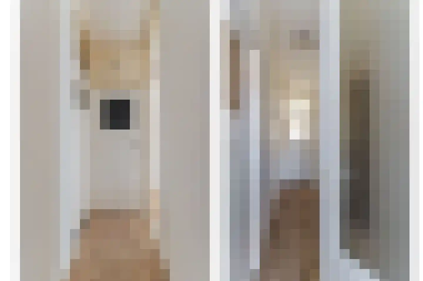 Wouwermanstraat 22 Den Haag thumbnail 8