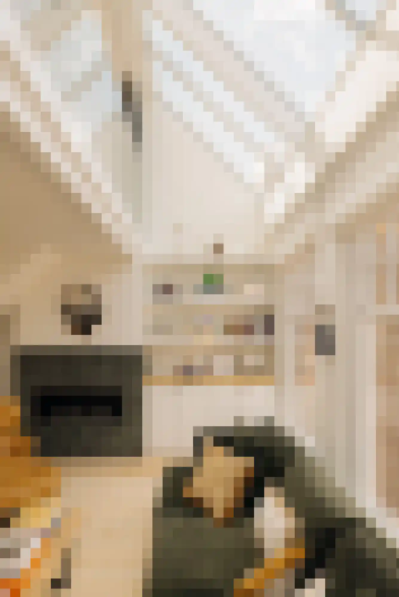 Wouwermanstraat 3 3 Amsterdam thumbnail 11