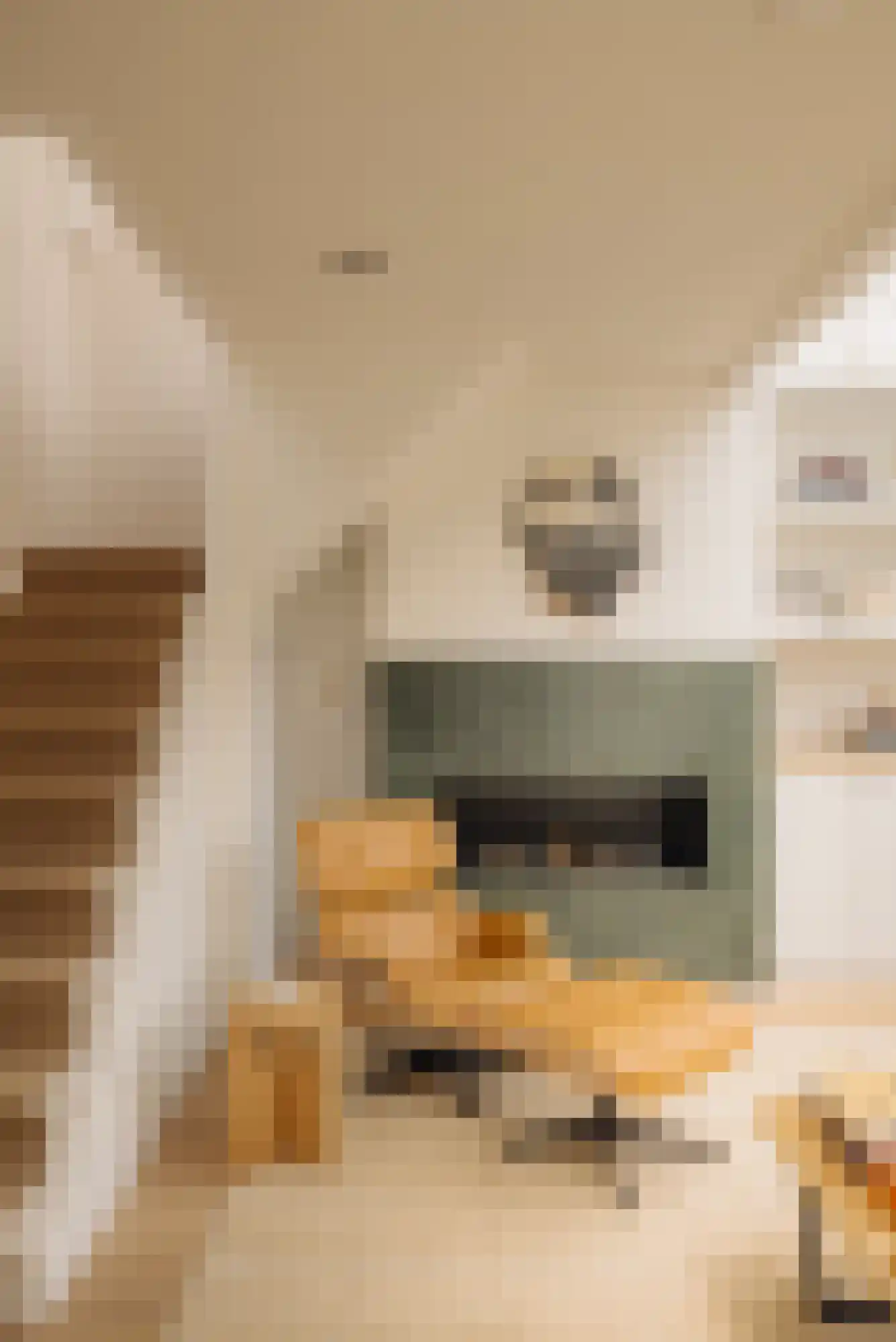 Wouwermanstraat 3 3 Amsterdam thumbnail 14