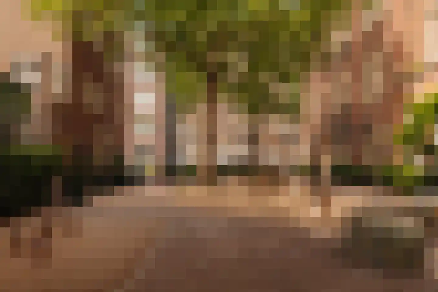 Wouwermanstraat 3 3 Amsterdam thumbnail 38