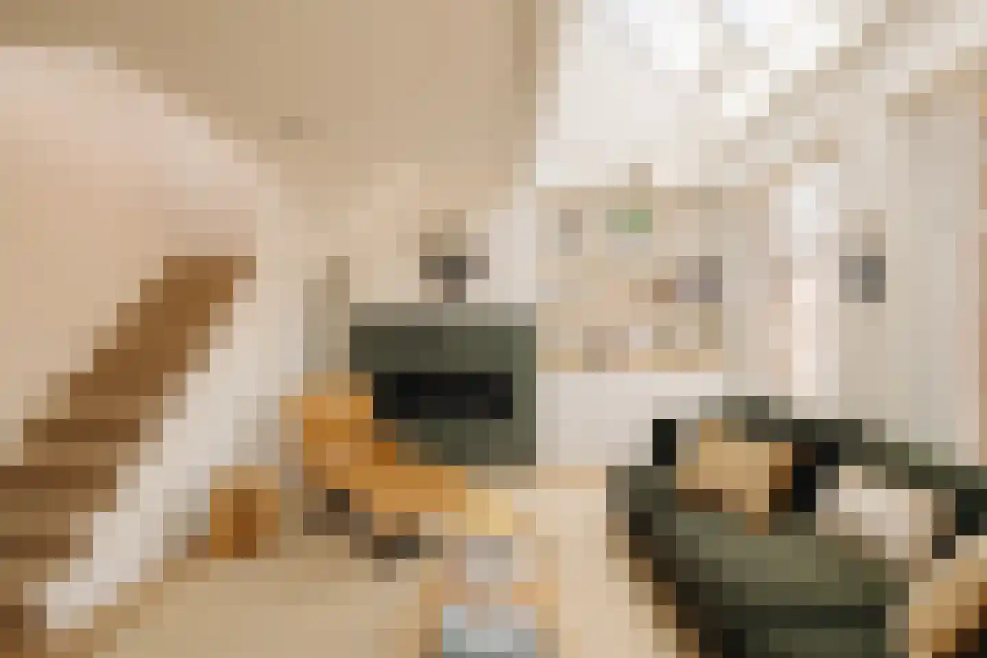 Wouwermanstraat 3 3 Amsterdam thumbnail 4