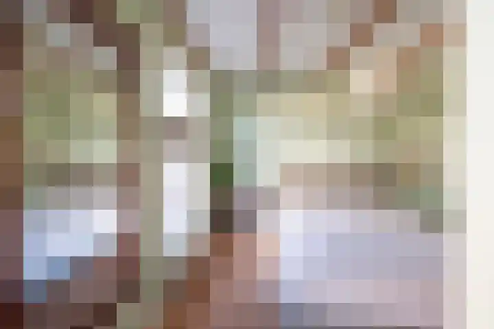 Wouwermanstraat 3 RD Haarlem thumbnail 33