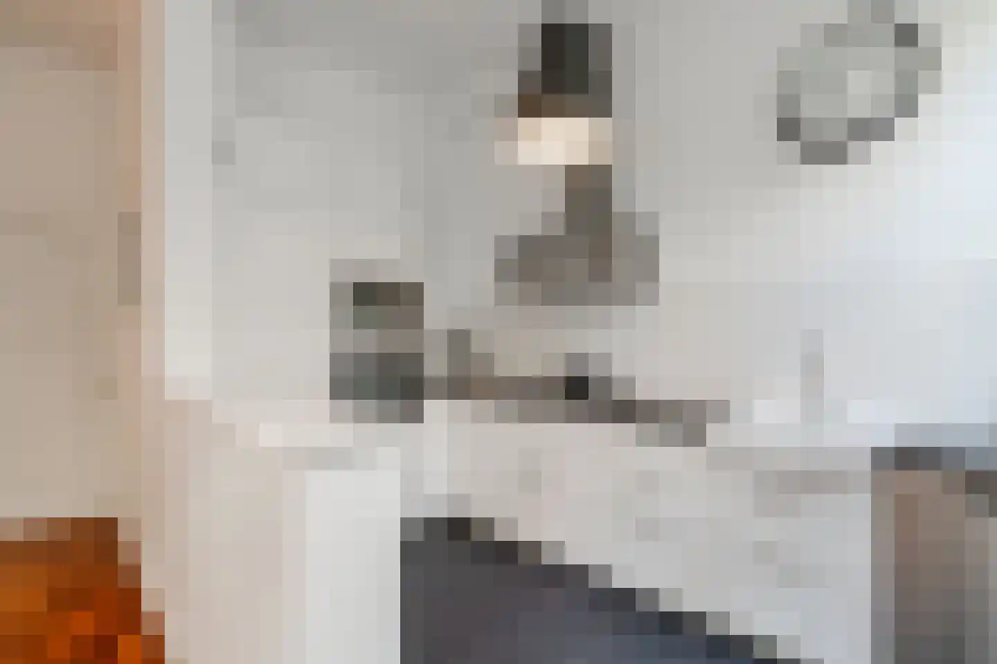 Wouwermanstraat 34 H Amsterdam thumbnail 19