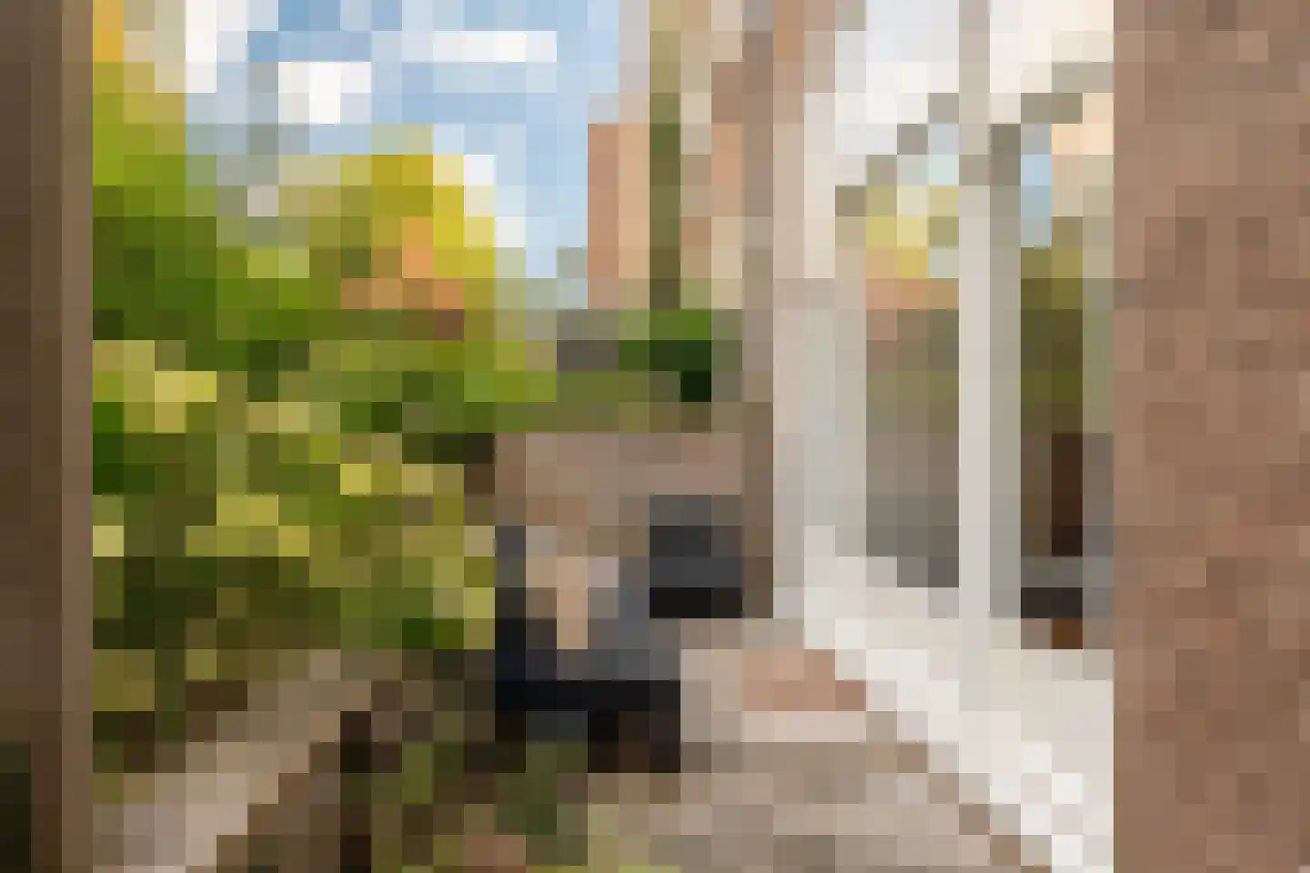 Wouwermanstraat 34 H Amsterdam thumbnail 26