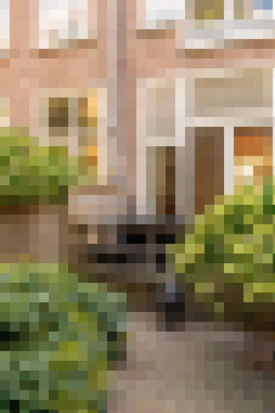 Wouwermanstraat 34 H Amsterdam thumbnail 29