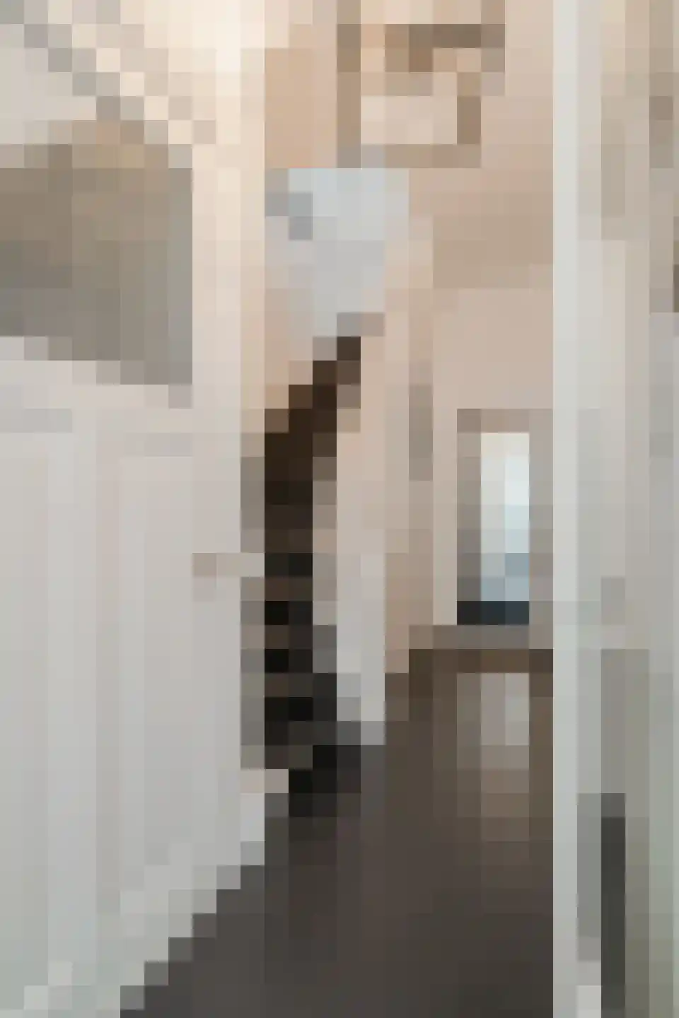 Wouwermanstraat 34 H Amsterdam thumbnail 32