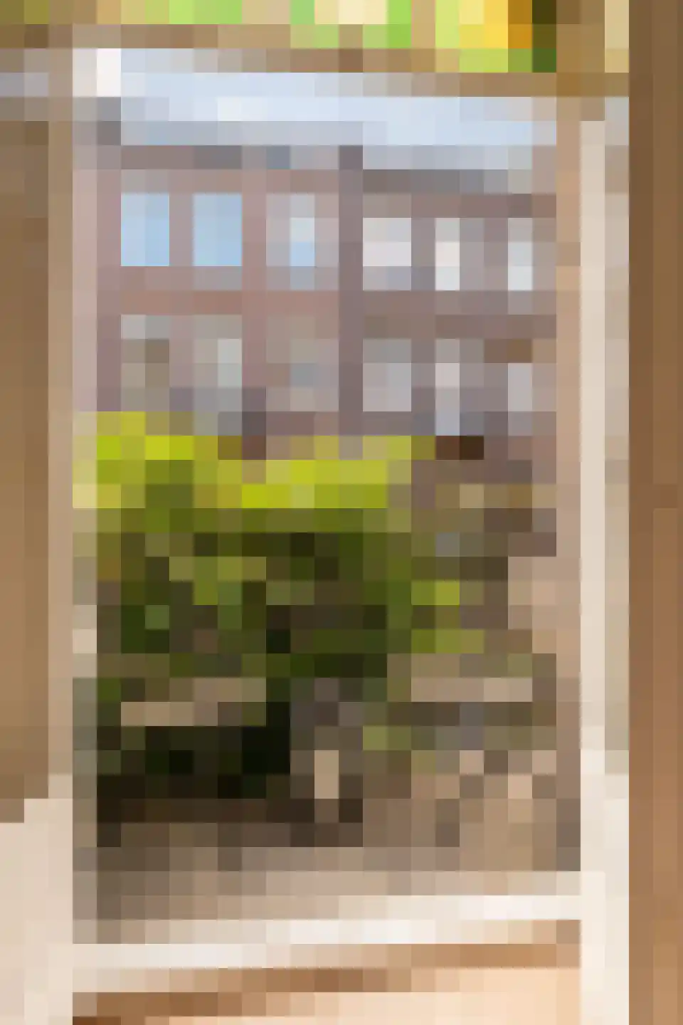 Wouwermanstraat 34 H Amsterdam thumbnail 46