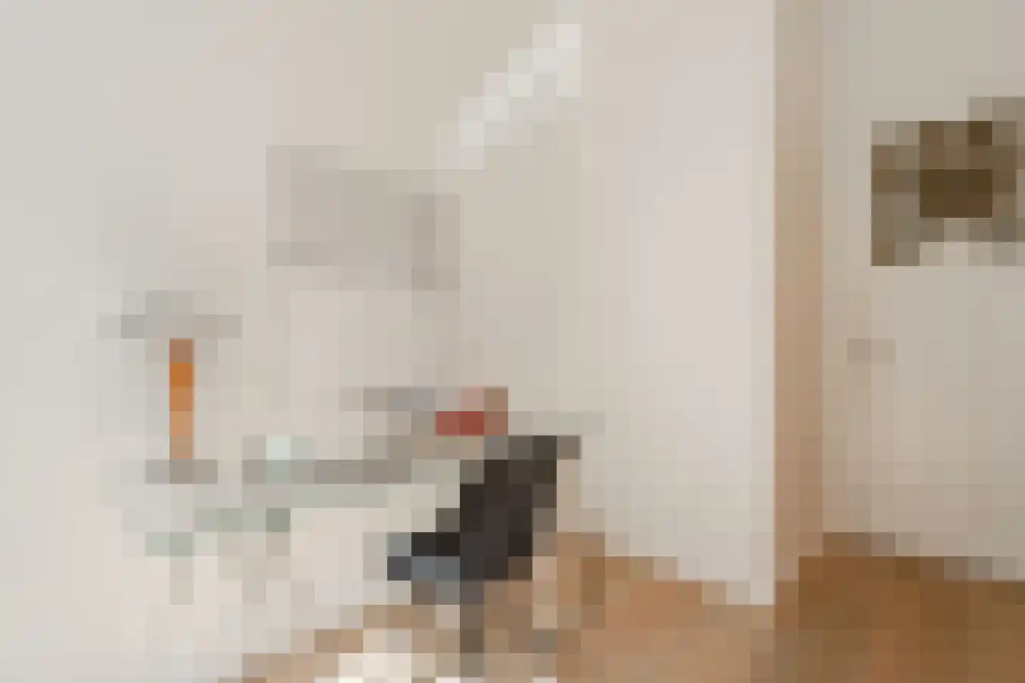 Wouwermanstraat 34 H Amsterdam thumbnail 50
