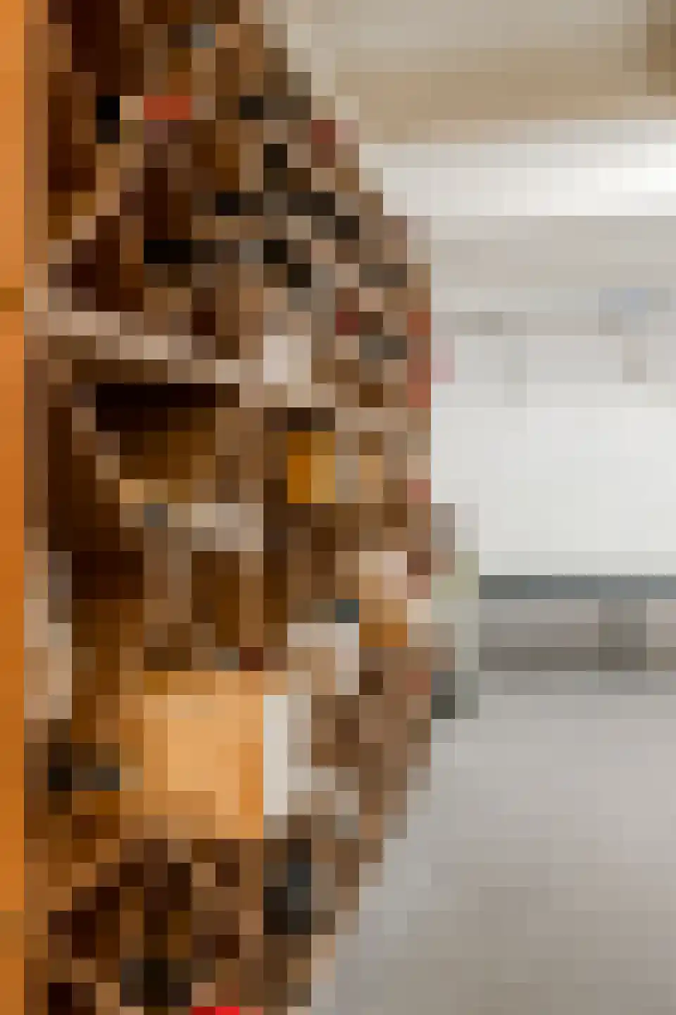 Wouwermanstraat 34 H Amsterdam thumbnail 53