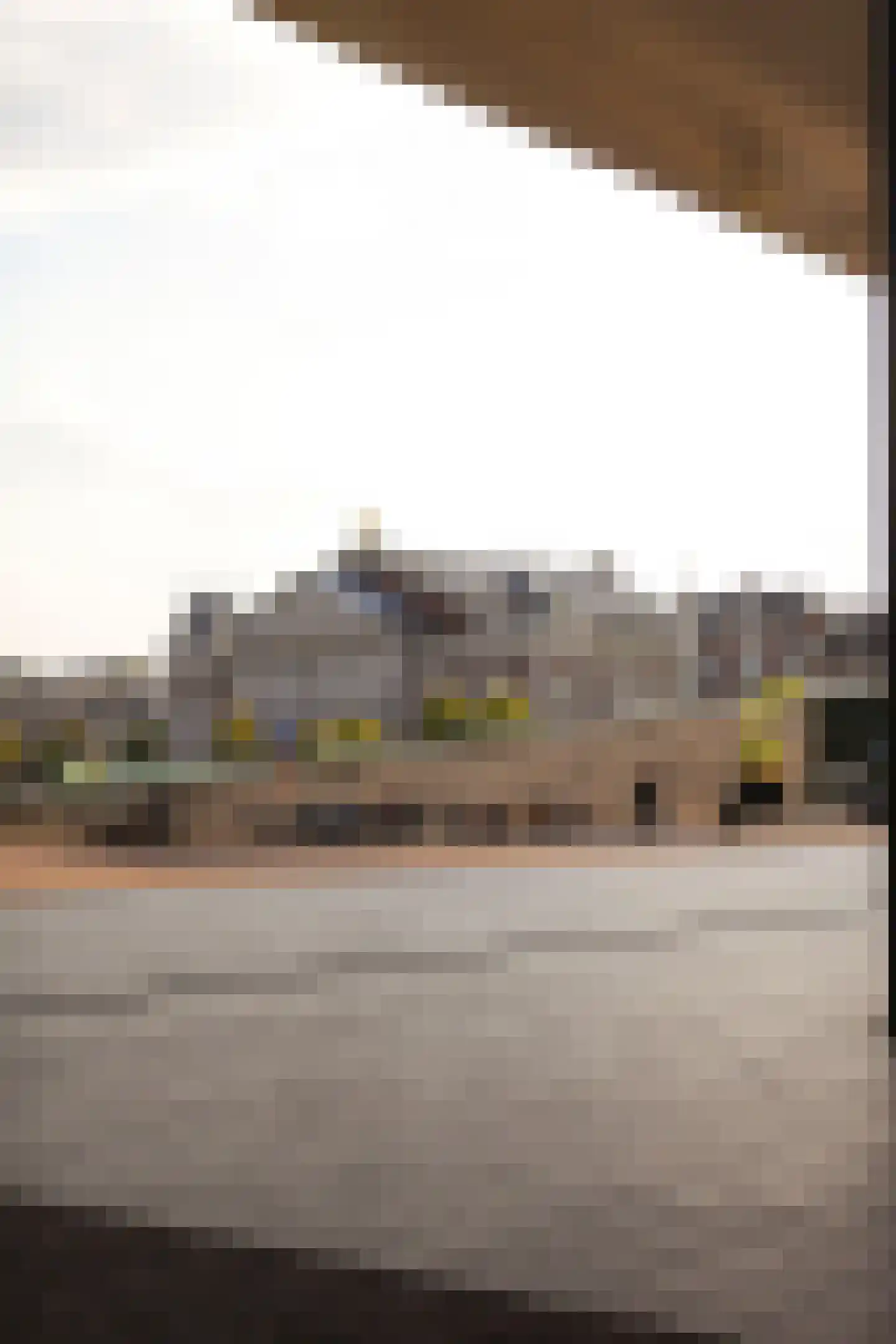 Wouwermanstraat 34 H Amsterdam thumbnail 60