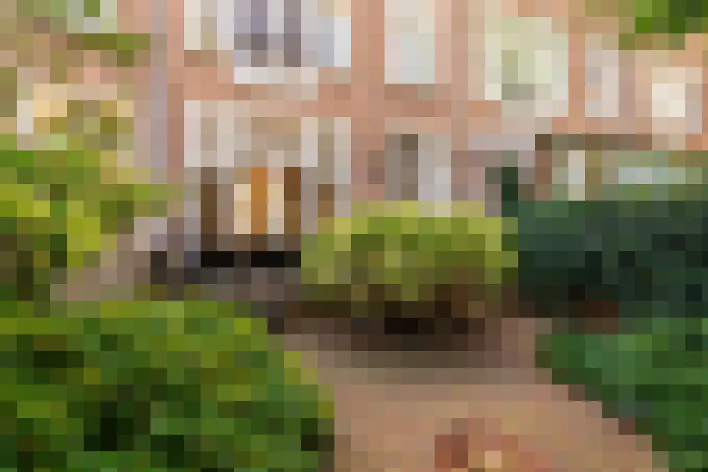 Wouwermanstraat 34 H Amsterdam thumbnail 8