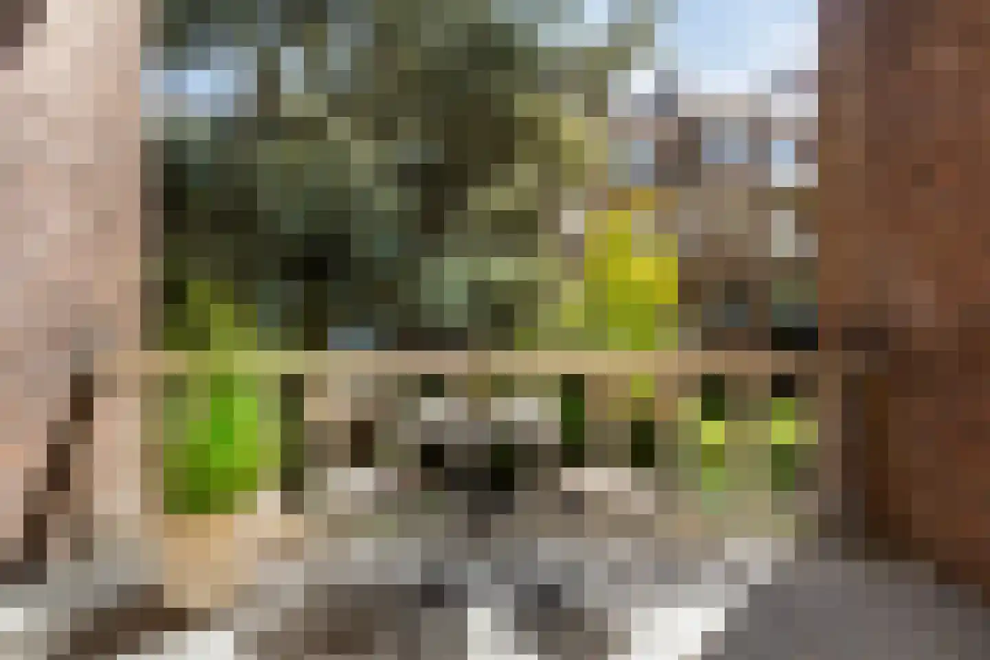 Wouwermanstraat 35 H Amsterdam thumbnail 44