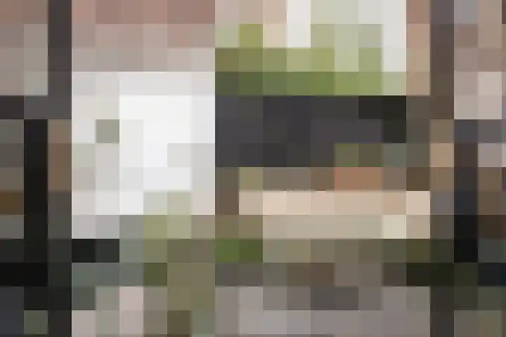 Wouwermanstraat 41 ZW Haarlem thumbnail 24