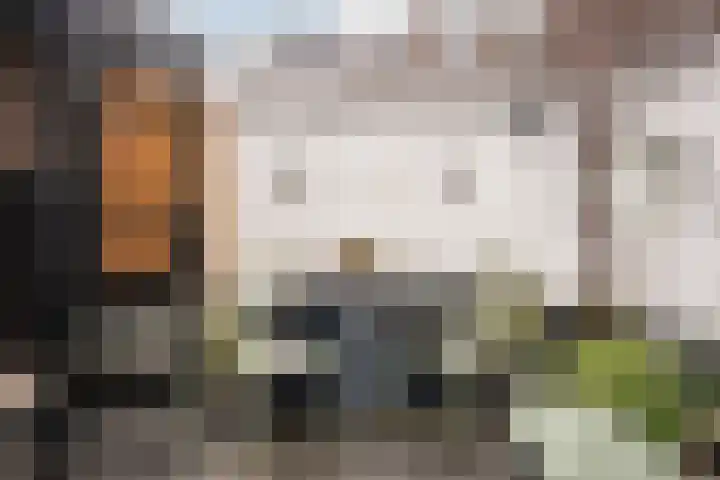 Wouwermanstraat 41 ZW Haarlem thumbnail 27