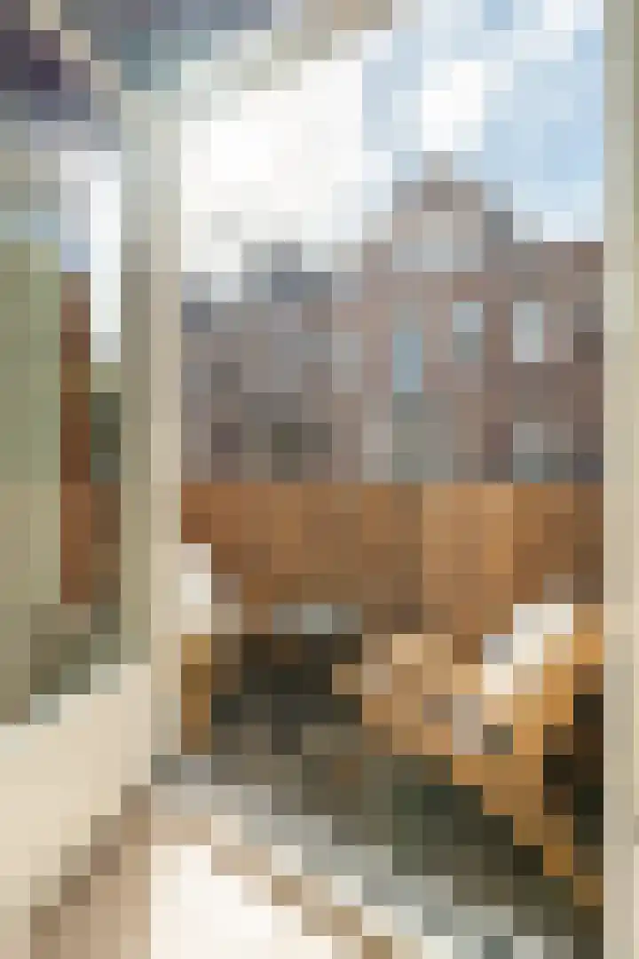 Wouwermanstraat 44 3 Amsterdam thumbnail 10