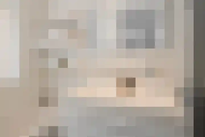 Wouwermanstraat 44 3 Amsterdam thumbnail 34