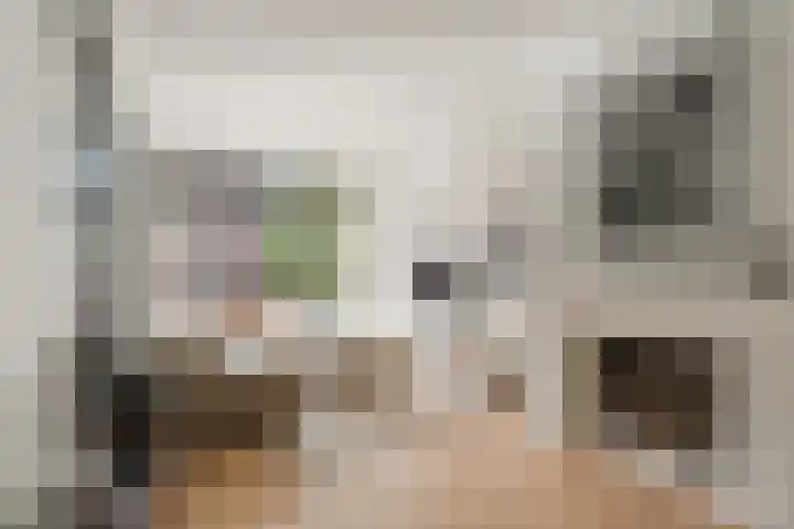 Wouwermanstraat 44 3 Amsterdam thumbnail 4