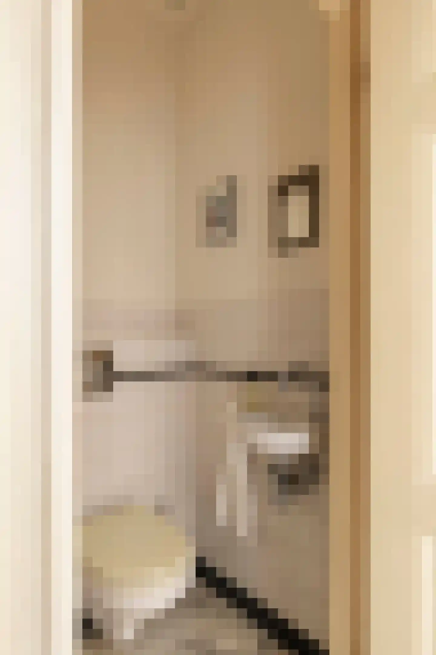 Wouwermanstraat 5 H Amsterdam thumbnail 21