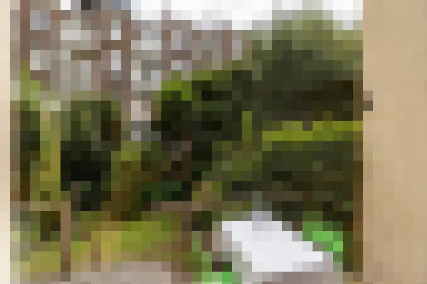 Wouwermanstraat 5 H Amsterdam thumbnail 8