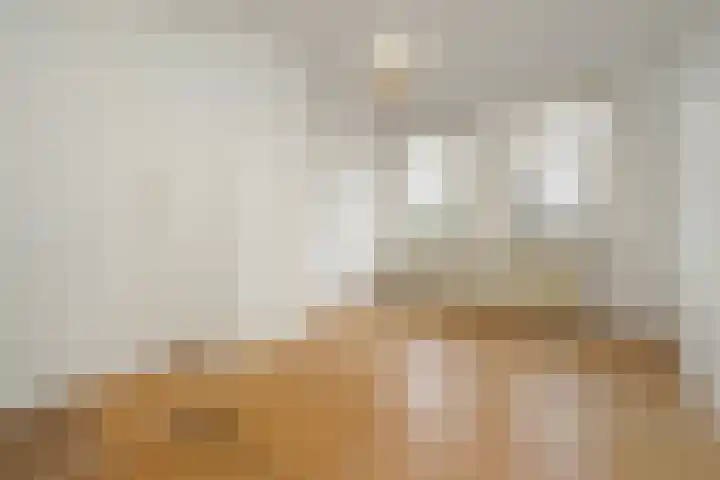Wouwermanstraat 54 Den Haag thumbnail 12