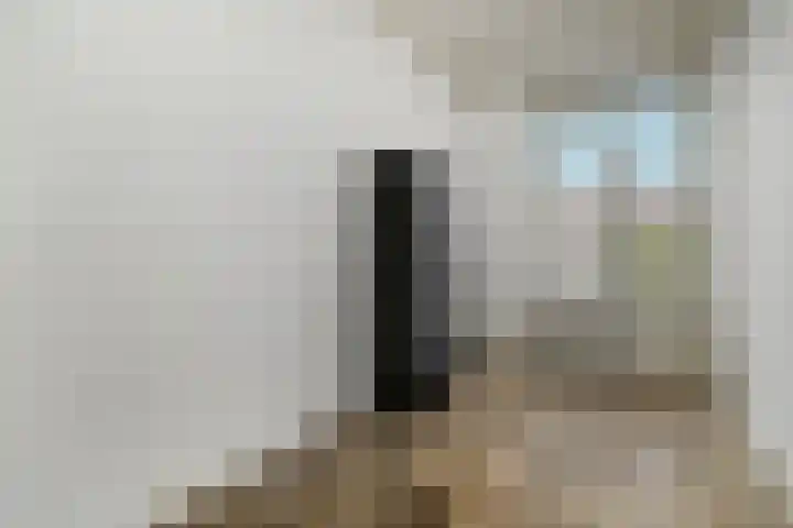 Wouwermanstraat 54 Den Haag thumbnail 17