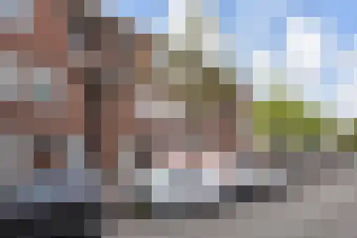 Wouwermanstraat 54 Den Haag thumbnail 4
