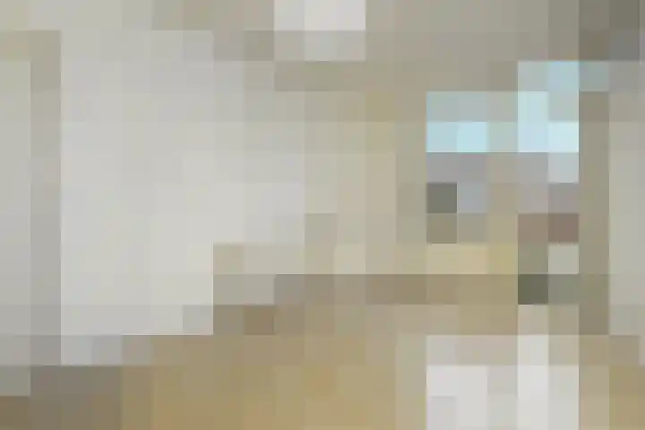 Wouwermanstraat 54 Den Haag thumbnail 6
