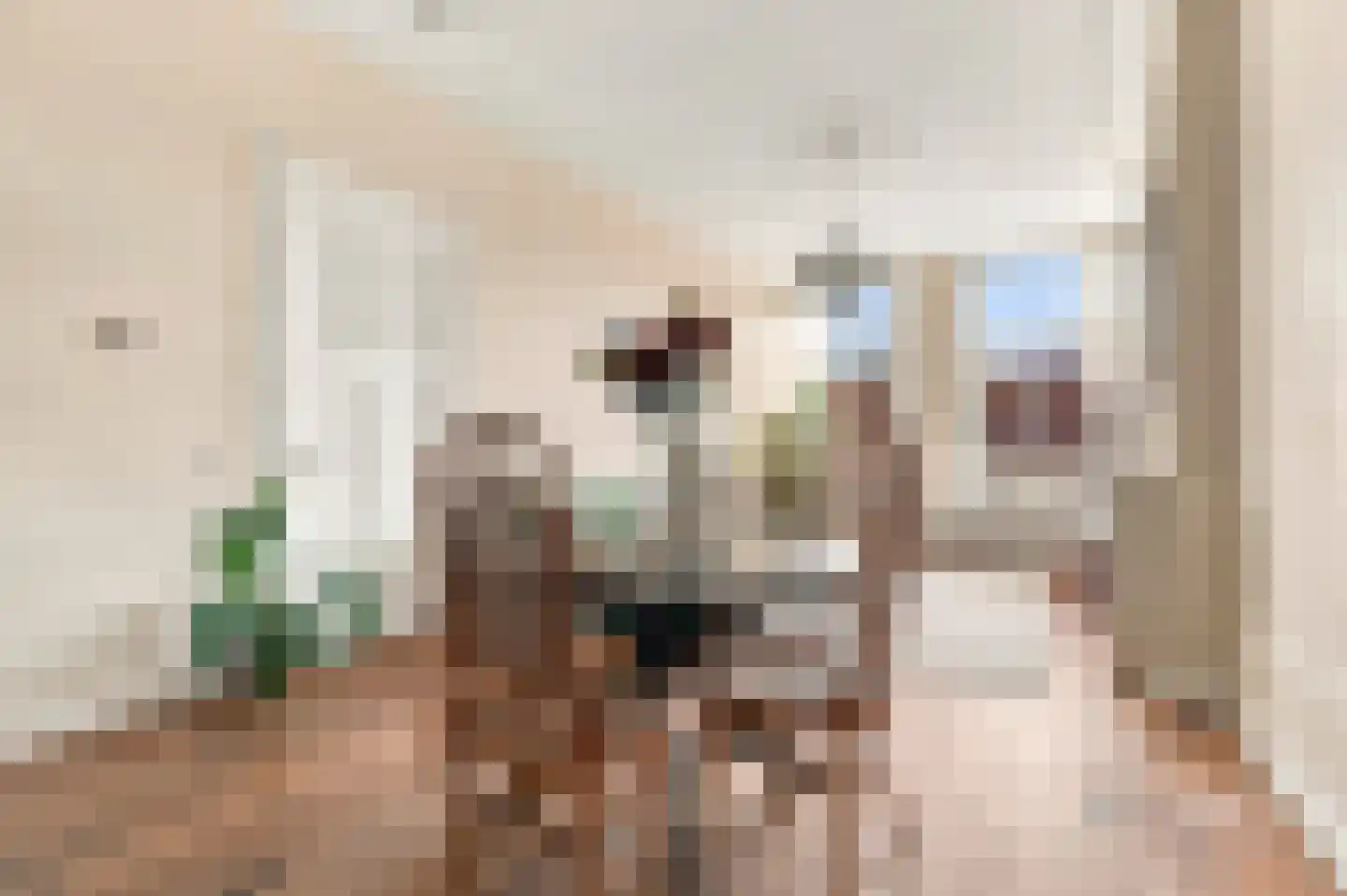 Wouwermanstraat 6 3 Amsterdam thumbnail 10
