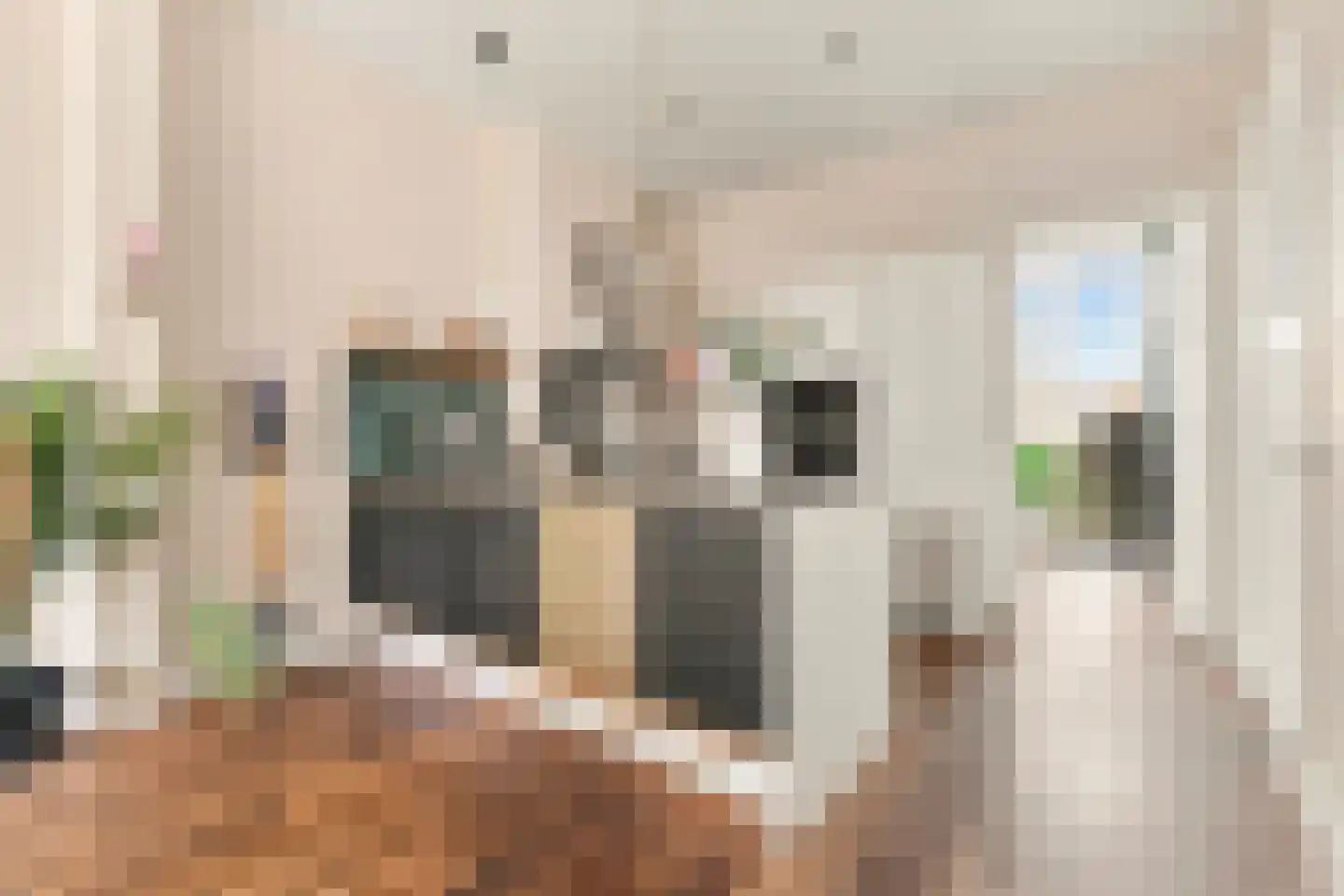 Wouwermanstraat 6 3 Amsterdam thumbnail 12