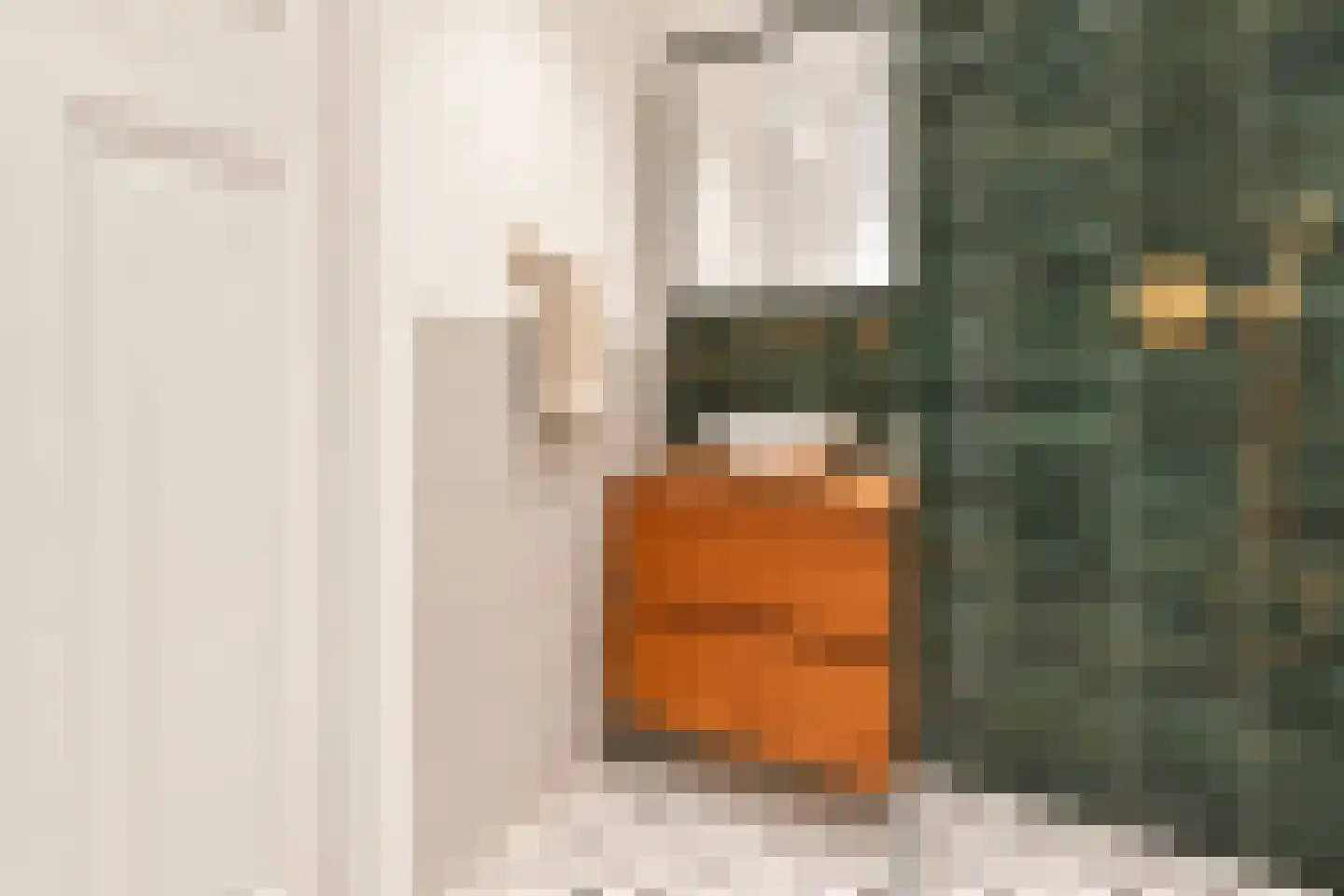Wouwermanstraat 6 3 Amsterdam thumbnail 26