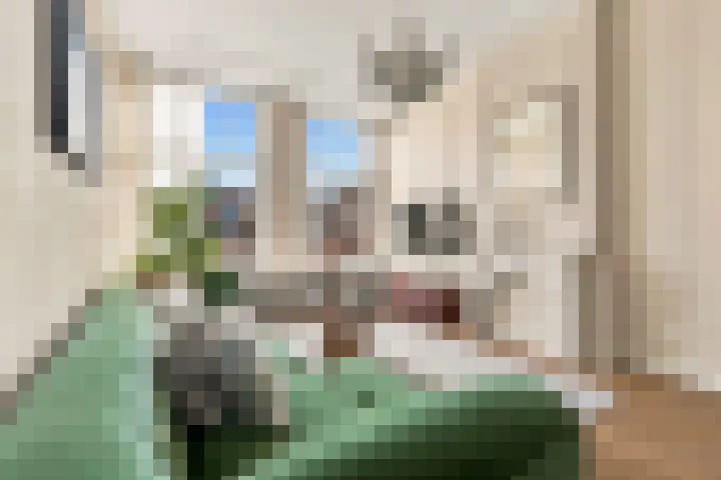 Wouwermanstraat 6 3 Amsterdam thumbnail 4
