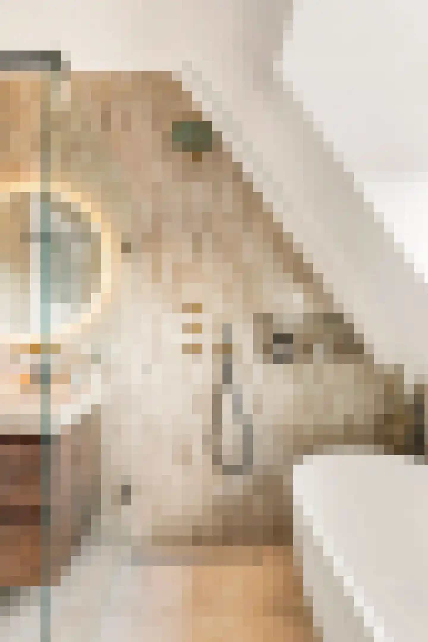 Wouwermanstraat 6 4 Amsterdam thumbnail 16